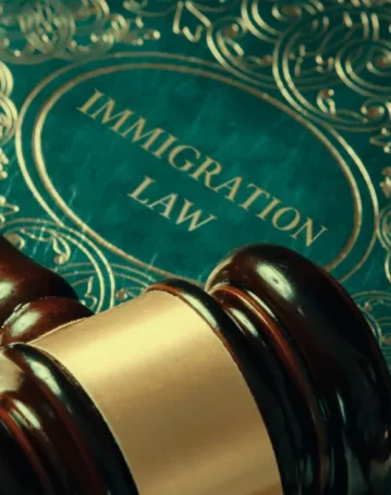 brown-gavel-on-top-of-dark-green-immigration-law-book-1