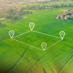 Land Transactions in Nigeria: The Importance of Due Diligence Before Purchase.